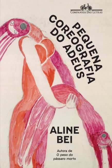 capa 2